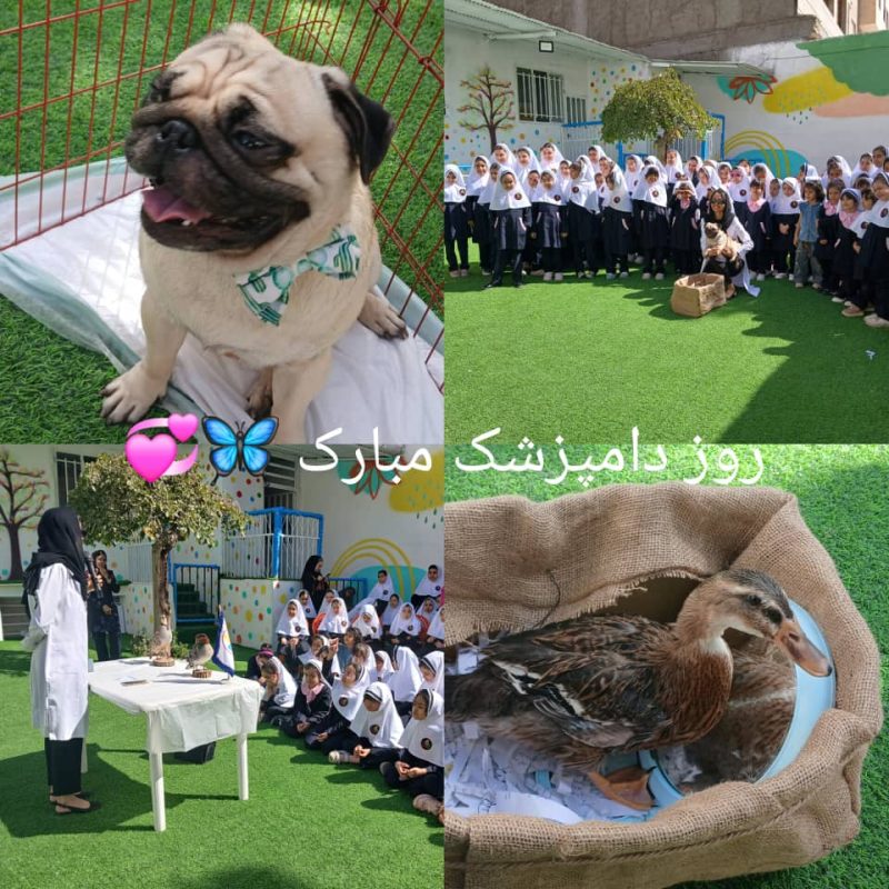 WhatsApp Image 2025-11-27 at 17.07.57