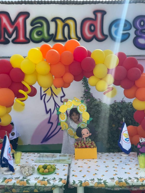 IMG_20251223_024233_776[1]